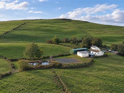 Picture 25